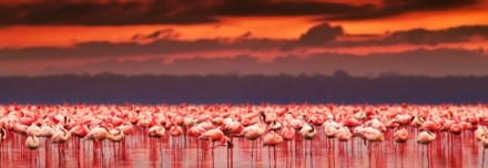 Oferta de Viaje a África e Índico  - Samburus y Masais