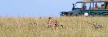 Oferta de Viaje a África e Índico  - Safari Kenia e Isla Mauricio