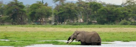Oferta de Viaje a África e Índico  - Kenia al completo