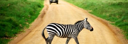 Oferta de Viaje a África e Índico  - Tanzania Clásica e Isla Zanzibar