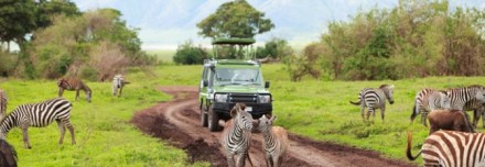 Oferta de Viaje a África e Índico  - Safari Pocket