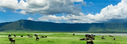 Oferta de Viaje a África e Índico  - Animales y sabanas