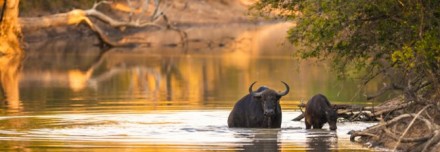 Oferta de Viaje a África e Índico  - Sudáfrica y Namibia