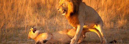 Oferta de Viaje a África e Índico  - Las Joyas del Sur