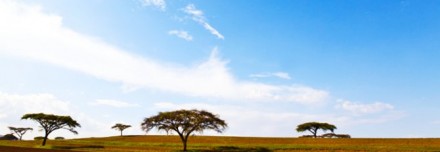 Oferta de Viaje a África e Índico  - Etiopía al completo