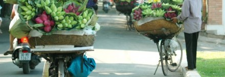 Oferta de Viaje a Indochina  - Aires de Vietnam
