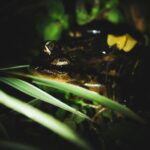 adrian valverde 1xu7dnfqdag unsplash