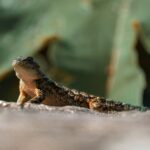 adrian valverde sjcngclr9r8 unsplash