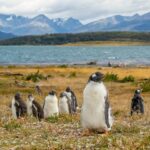 agus buscaglia zbvhmwd7g a unsplash