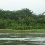 akshay chauhan w0jngy6ek3u unsplash