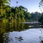 alexander van steenberge ejrwgoep va unsplash