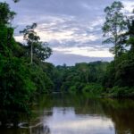 alexander van steenberge pqlleff8yoi unsplash