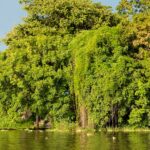 alvison lucas hunter arnuero 2kldvvlg3qk unsplash