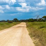 amboseli national park 4734694 1280