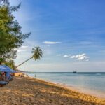 andreas m fi 7t4bl95g unsplash