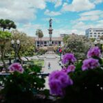 andres medina qeccisz5frq unsplash