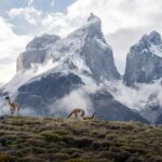 andrew svk 7oj4d ewb7c unsplash