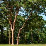 anelale najera ktozrcpfxsi unsplash