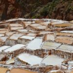 anna mircea th5kctv2mjc unsplash