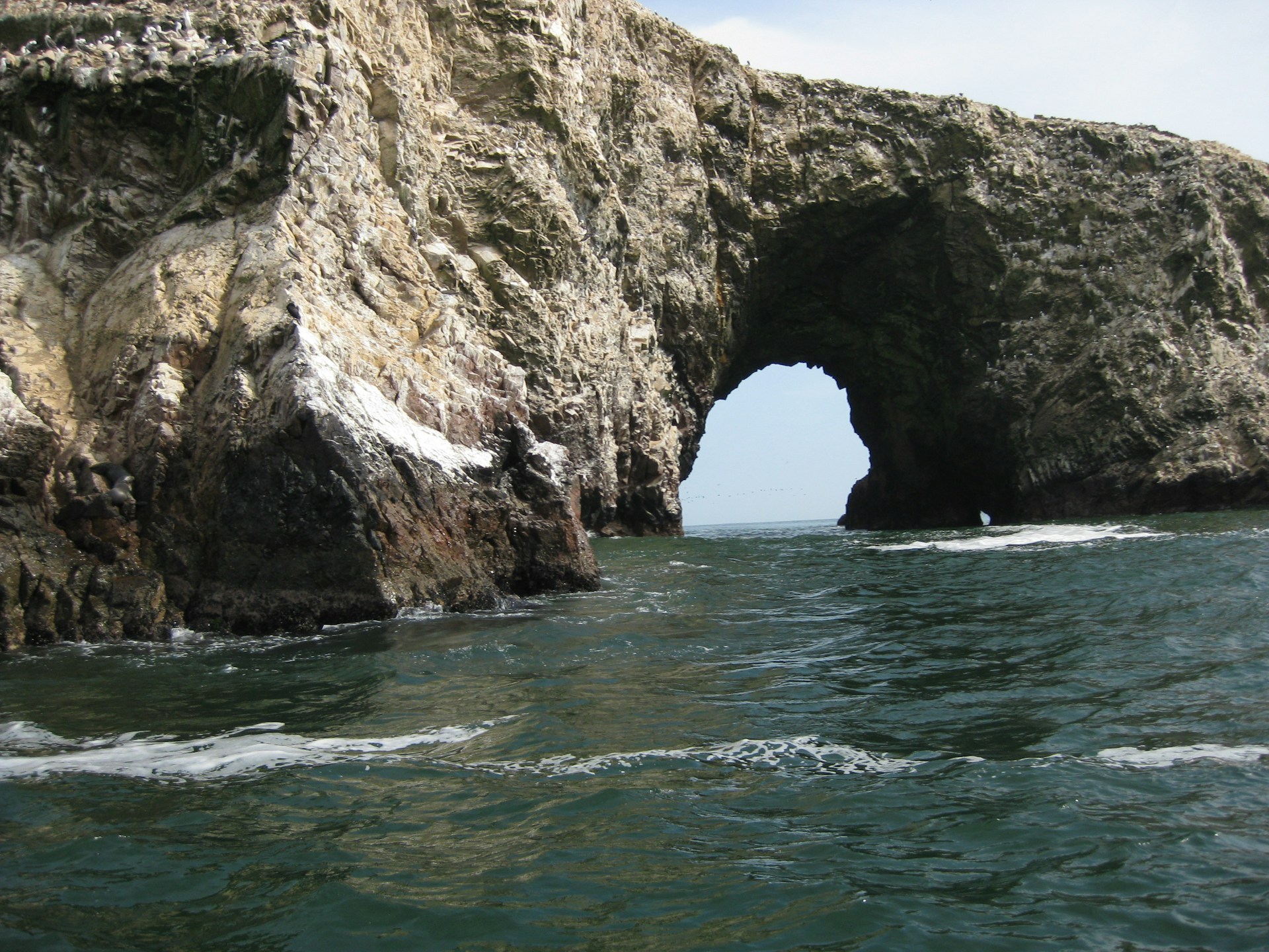 anne gregory szulcrobbru unsplash