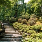 arashiyama 1449376 1280