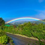 arianne beeche rtgb2x tvwe unsplash (1)