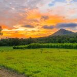 arianne-beeche-wGUt4dI-Unk-unsplash