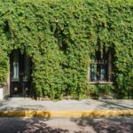 arturo esparza gkspd91q5y4 unsplash