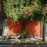 arturo esparza dp20npvzvpy unsplash