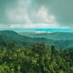 beau horyza naqdhg 4qsc unsplash en tamaño grande