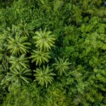 berti-benbanaste-Q4ttRdl_97Q-unsplash