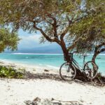 bicycle 2058001 1280