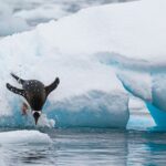 birger-strahl-bmjp_dwpoU8-unsplash