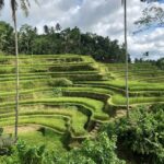 bobbye silaen p3bdesr2vzi unsplash