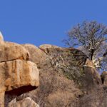 botswana 926896 1280