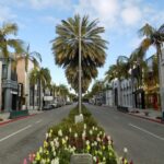 bp miller b46rduq8iao unsplash