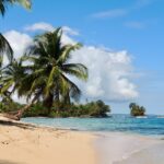 camilo pinaud hnfu3e1e4do unsplash