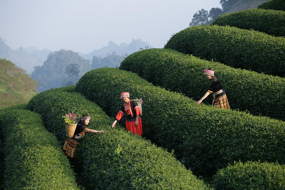 camping 7947055 960 720