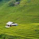 can pham d8g7yw n6xa unsplash