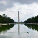 caroline mcfarland swil3gtyvgs unsplash