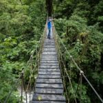 cesar badilla miranda zxxls5vt2xs unsplash