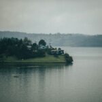 chalo-gallardo-j_UeoEKT8to-unsplash