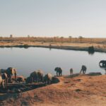 christine donaldson i7kbqnjn9xm unsplash