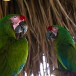 crisoforo gaspar hernandez wxeijhwbyg0 unsplash