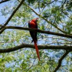 crisoforo gaspar hernandez x5gvl q3uck unsplash