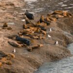 cristian tarzi 80z0omczzbs unsplash