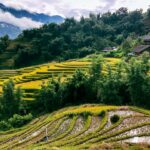 damien kopp exjptxw48f4 unsplash