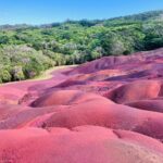 dan dy 1olqsexxlga unsplash