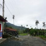 datingjungle ui2aom8dktm unsplash