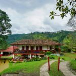 datingjungle cho9nh4iakc unsplash